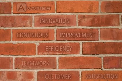 Avatier Identity management company values.